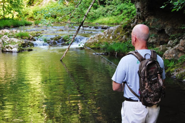 Discover Greeneville7