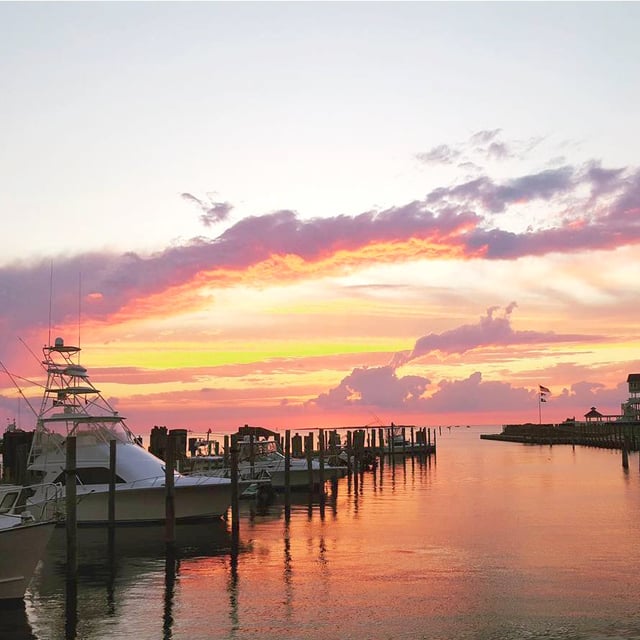 123290895_10157398941311231_5248077577581082791_n