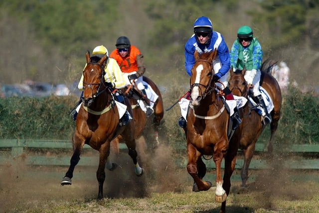 Springdale Race Course