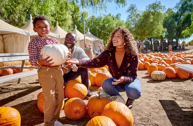 Copy of ExploreMurr-PeltzerPmpkn-Oct24-68.jpg