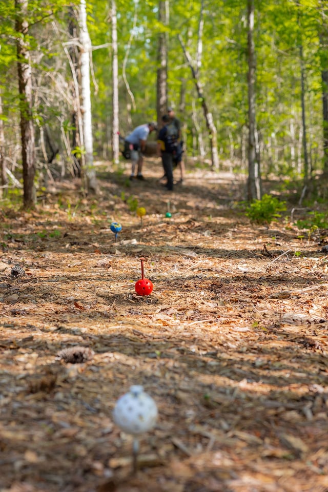Archery at Spring Villa 2025 Archers on Trail (1).jpg