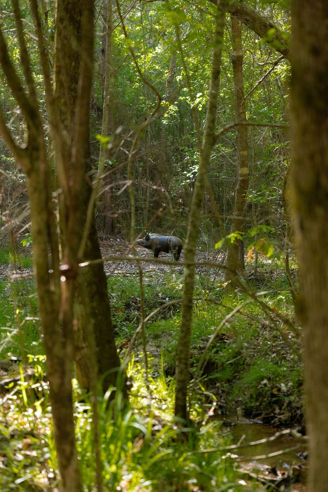 Archery at Spring Villa 2025 Target on Trail (7).jpg