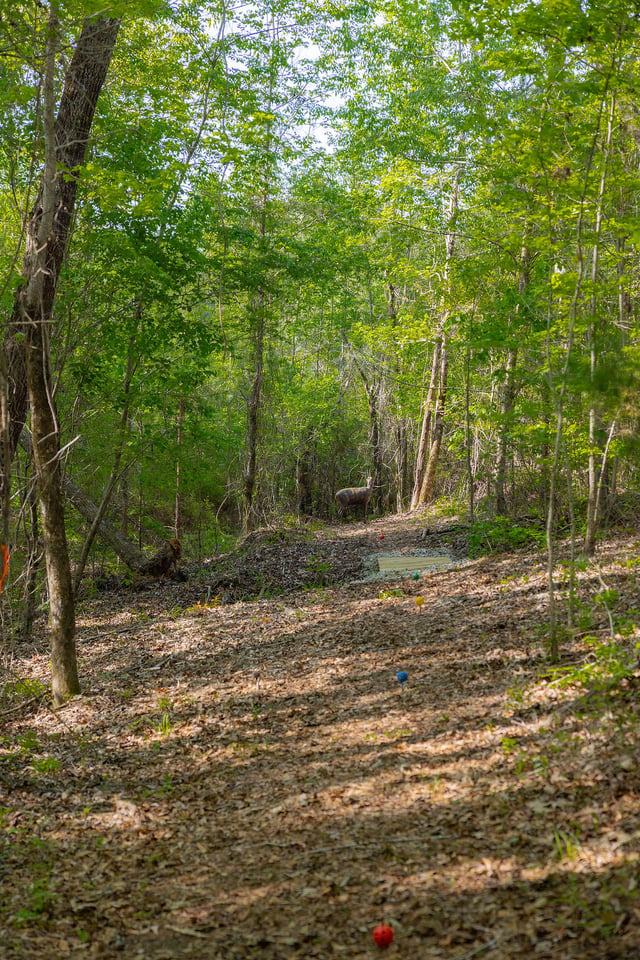 Archery at Spring Villa 2025 Target on Trail (8).jpg