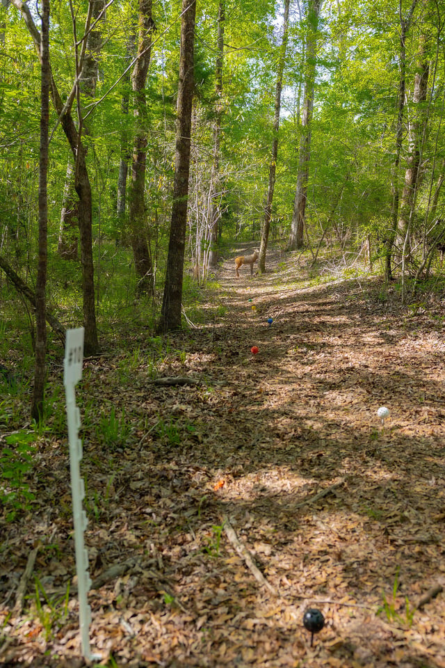 Archery at Spring Villa 2025 Target on Trail (9).jpg