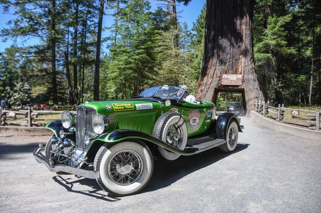 1931 Auburn passes through the Candelier tree in Leggett, CA.jpg