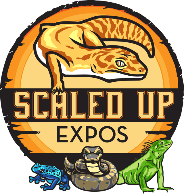 Scaled Up Expo