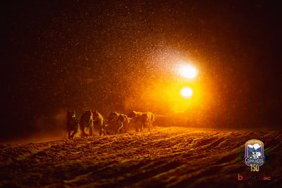 CopperDog 150 2025 213709-2-S.jpg