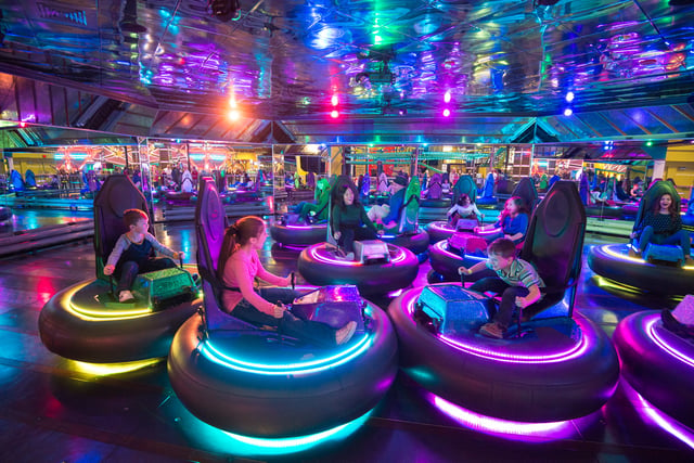 Bumper car group (1).jpg