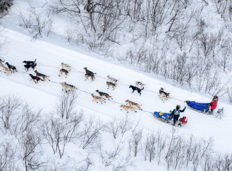 Screenshot 2026-01-29 at 11.27.32.png