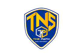 tns kickball logo