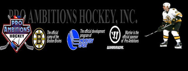 pro ambitions hockey banner 2.jpeg