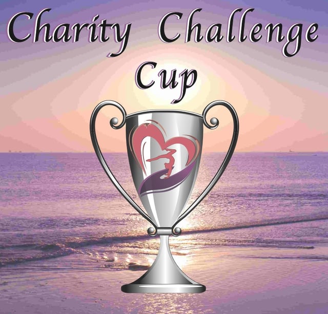 Charity Challenge Cup Playeasy