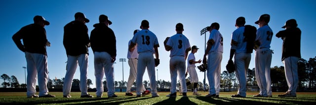 Ripken Baseball