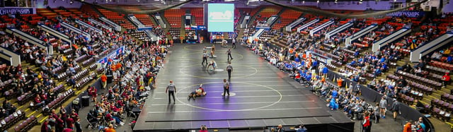 MHSAA Team Wrestling.jpg