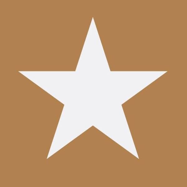 United Soccer Leagues logo