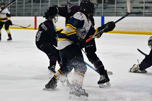 Hockey player.jpg