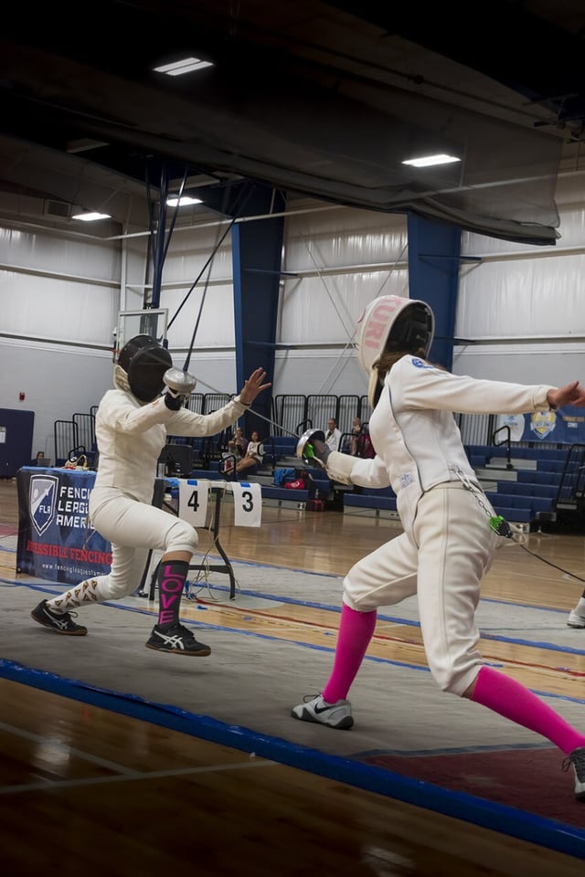 fencing5.jpeg