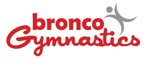 Bronco_Gymnastics-Logo-Red-Gray-300x120.png