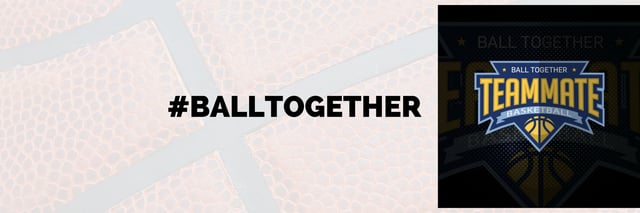 Teamate Basketball cover 2