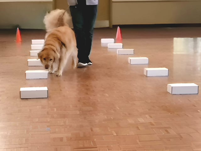 boxes.jpg