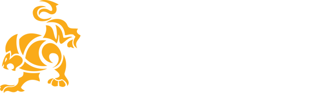 IBJJF Chicago Summer International Open 2025
