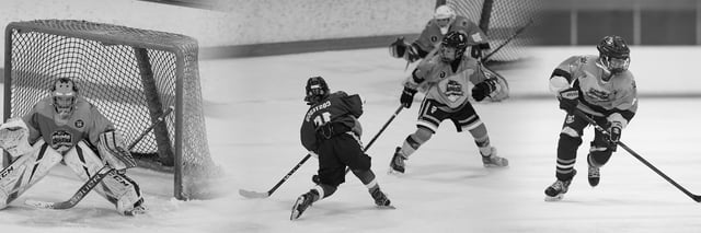 play hockey banner image