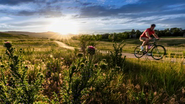 Wildflowers_RoadBiking_CreditDaveCho12.jpg