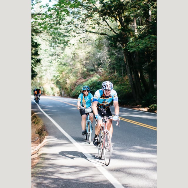800x800 (60).png