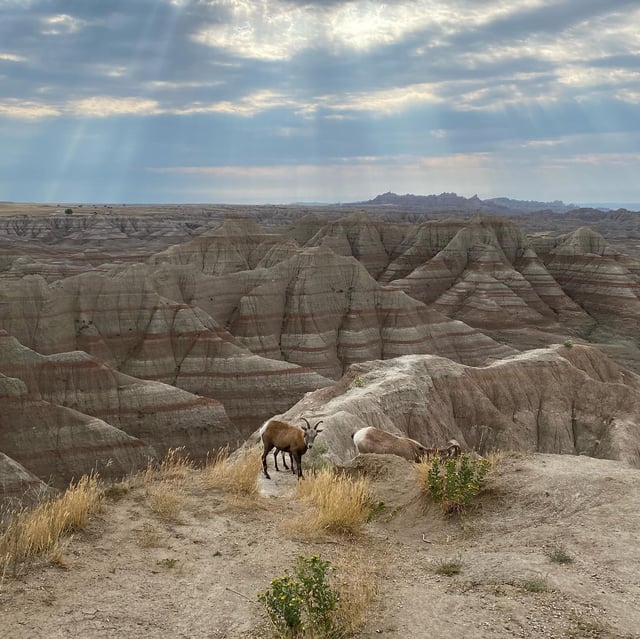 Badlands.jpg