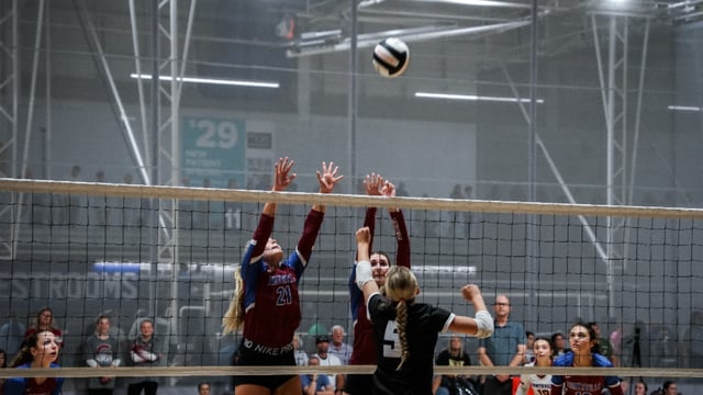 Untitled design (24).png