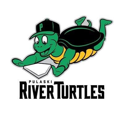 river turtles logo.jpg