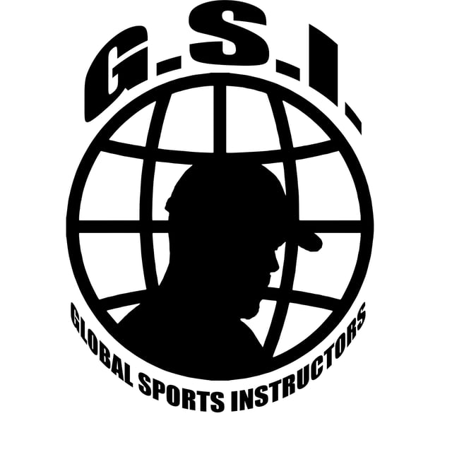 gsi logo.jpg