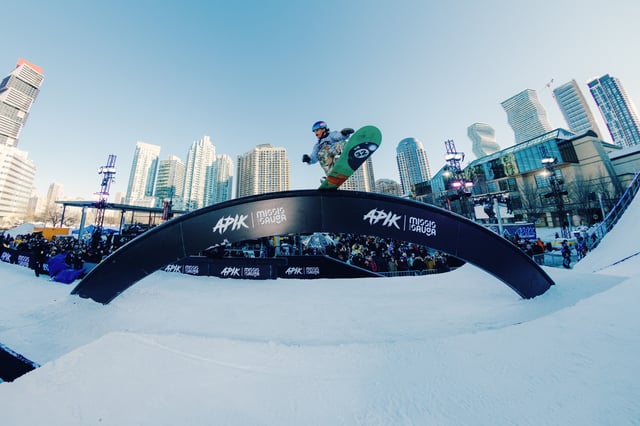 Apik Mississauga 2026 - 1 .jpg