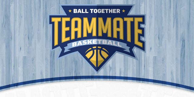 Teamate Basketball cover