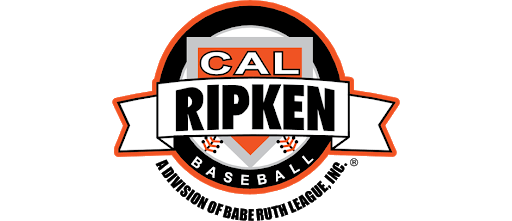 Cal Ripken 8U Pennsylvania Northwest Baseball State Championship