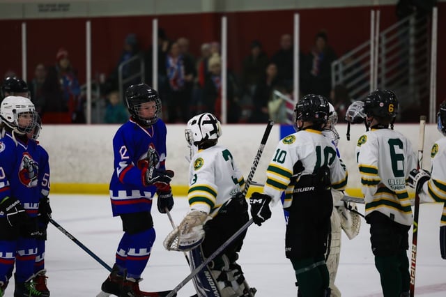 hockeyyoung-stands.jpg