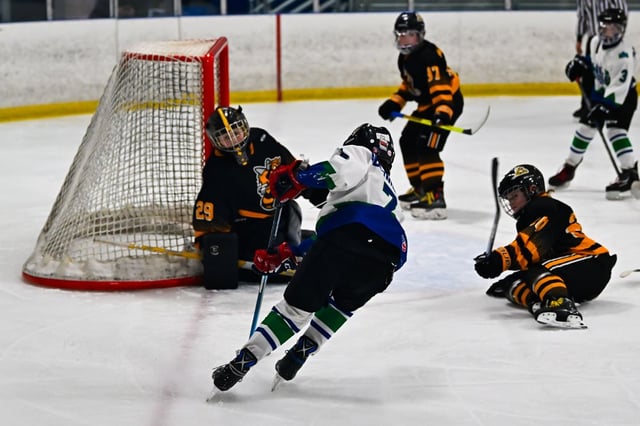Hockey young.jpg