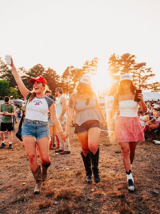 Rock the South 2.jpg