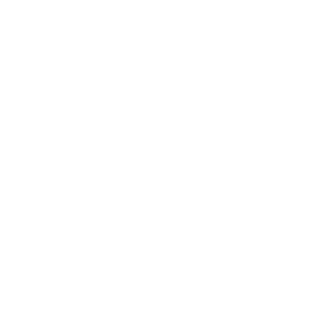 madehoops wht.png