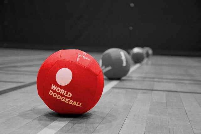 world dodgeball association banner.jpeg