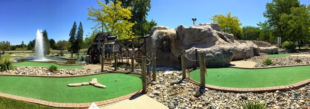IMG_2992