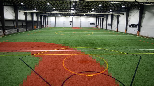 main-field