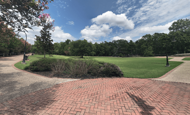 grass area
