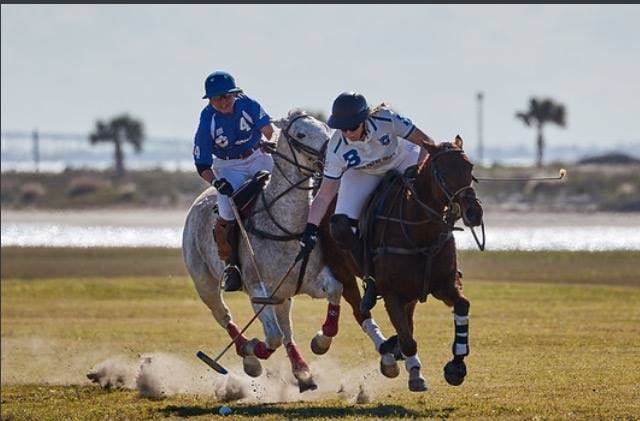 South Padre Island Equestrian Centre 5