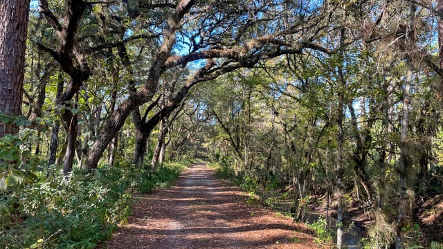 Colt-Creek-Yellow-Trail.jpg
