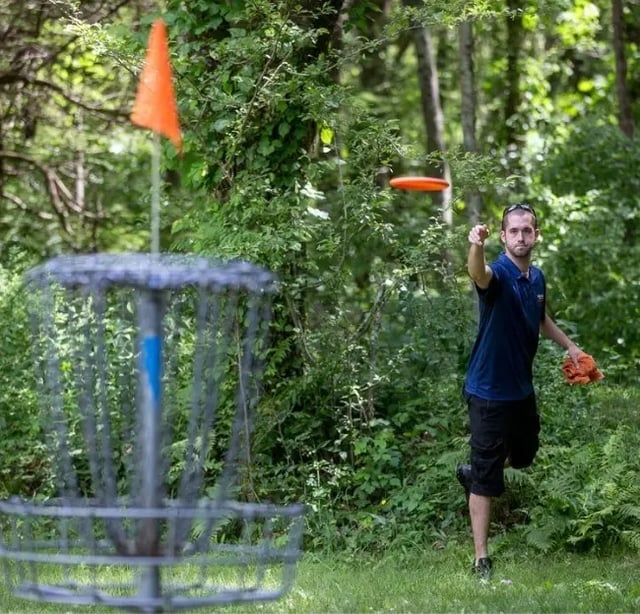 disc-golf-checkerboard-large.jpg