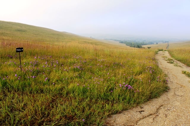 Konza Prairie Trails 4