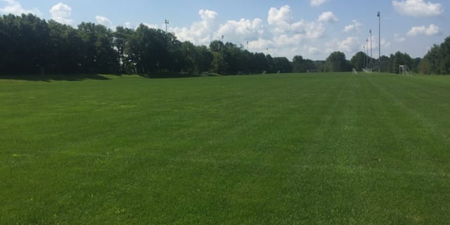 fields-3-1000x500