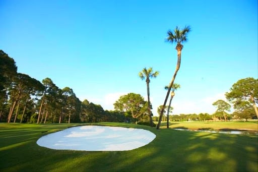 Holiday Golf Club 3