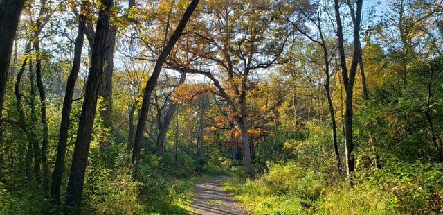 Donald Hackbarth Trail3